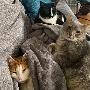 Meet your Posher, Quentin